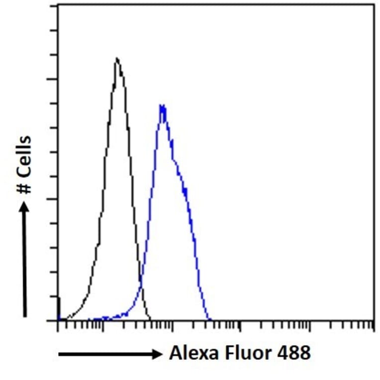 Flow Cytometry - Anti-SENP6 Antibody (A83351) - Antibodies.com