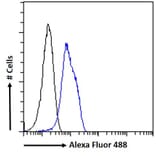 Flow Cytometry - Anti-SENP6 Antibody (A83351) - Antibodies.com