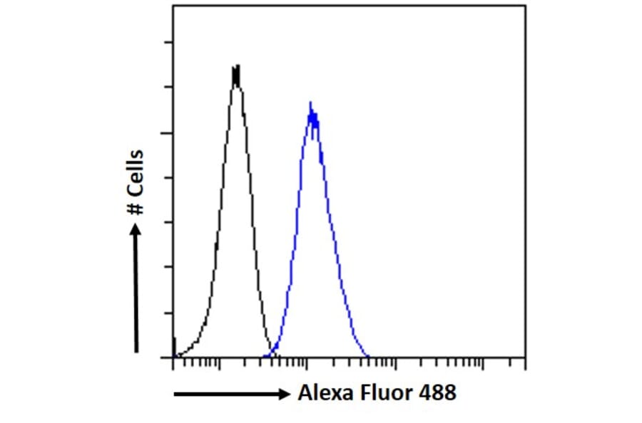 Flow Cytometry - Anti-PAX6 Antibody (A83369) - Antibodies.com
