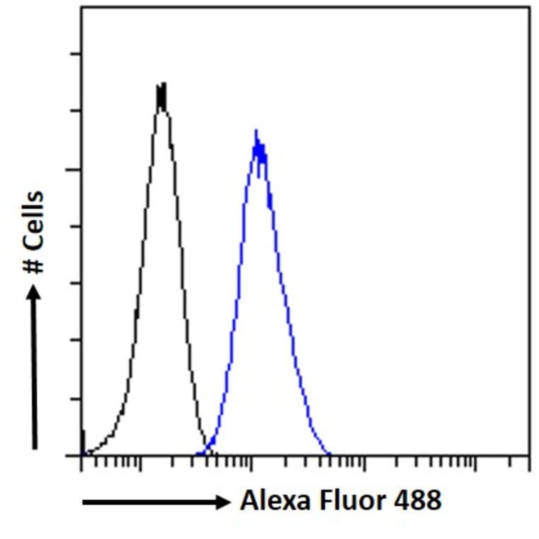 Flow Cytometry - Anti-PAX6 Antibody (A83369) - Antibodies.com