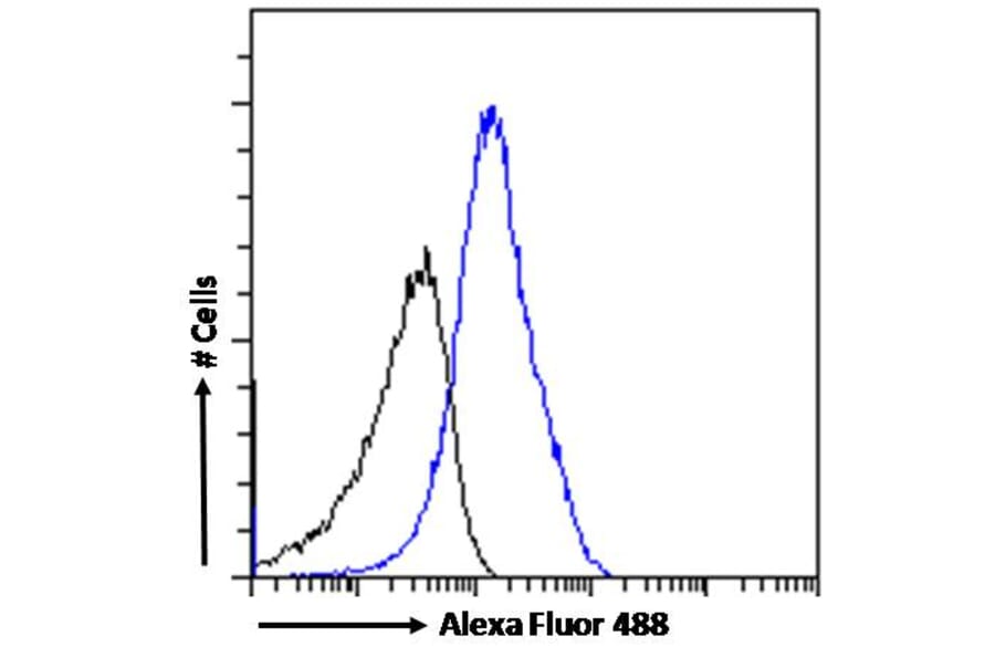 Flow Cytometry - Anti-IL-18 Antibody (A83377) - Antibodies.com