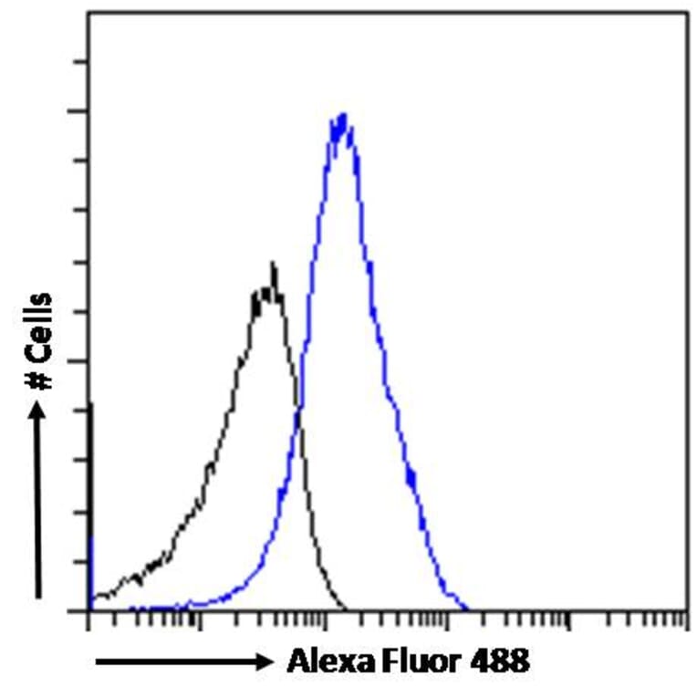 Flow Cytometry - Anti-IL-18 Antibody (A83377) - Antibodies.com