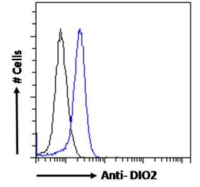 Flow Cytometry - Anti-DIO2 Antibody (A83378) - Antibodies.com