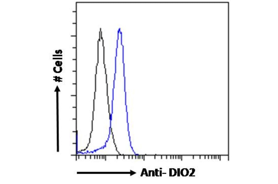 Flow Cytometry - Anti-DIO2 Antibody (A83378) - Antibodies.com