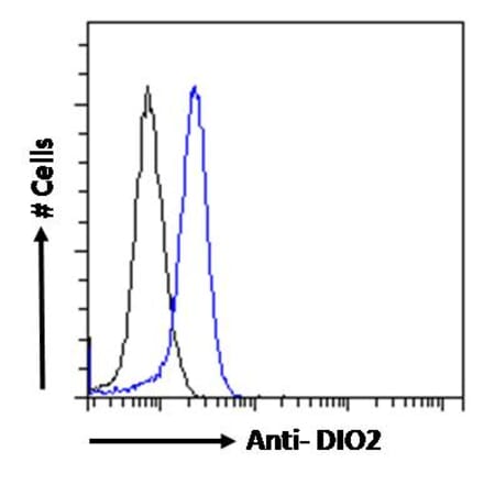 Flow Cytometry - Anti-DIO2 Antibody (A83378) - Antibodies.com