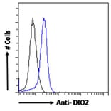 Flow Cytometry - Anti-DIO2 Antibody (A83378) - Antibodies.com