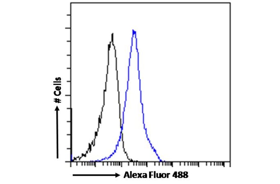 Flow Cytometry - Anti-BAF53A + BAF53B Antibody (A83400) - Antibodies.com