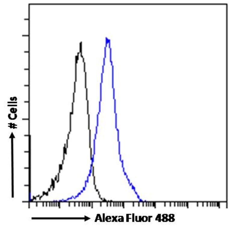 Flow Cytometry - Anti-BAF53A + BAF53B Antibody (A83400) - Antibodies.com
