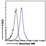 Flow Cytometry - Anti-BAF53A + BAF53B Antibody (A83400) - Antibodies.com
