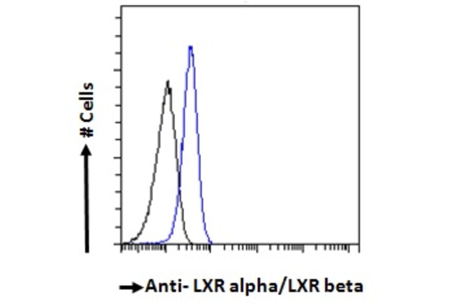 Flow Cytometry - Anti-LXR alpha + LXR beta Antibody (A83404) - Antibodies.com