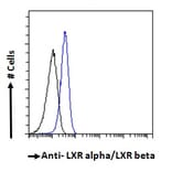 Flow Cytometry - Anti-LXR alpha + LXR beta Antibody (A83404) - Antibodies.com