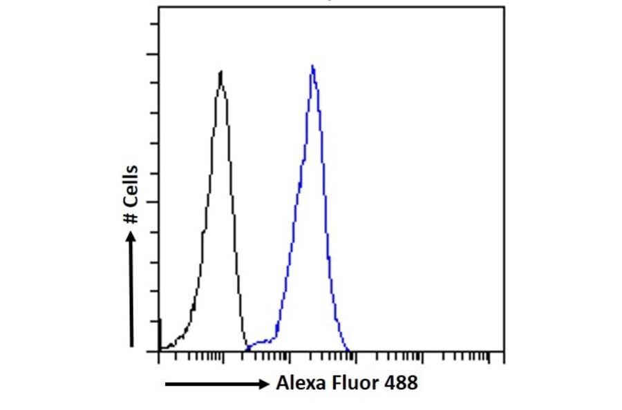 Flow Cytometry - Anti-LRP6 Antibody (A83408) - Antibodies.com