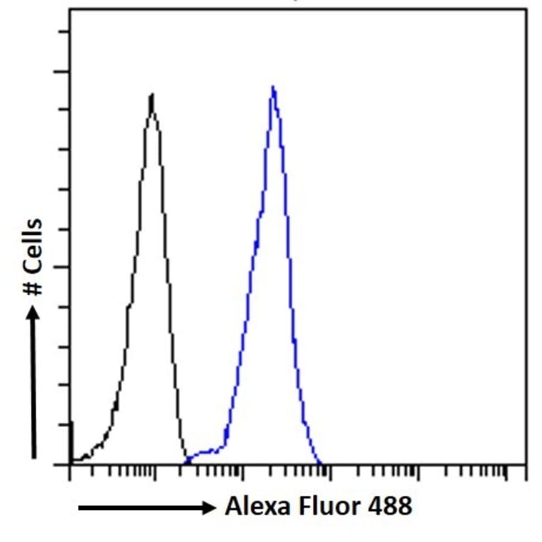 Flow Cytometry - Anti-LRP6 Antibody (A83408) - Antibodies.com