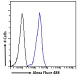 Flow Cytometry - Anti-LRP6 Antibody (A83408) - Antibodies.com