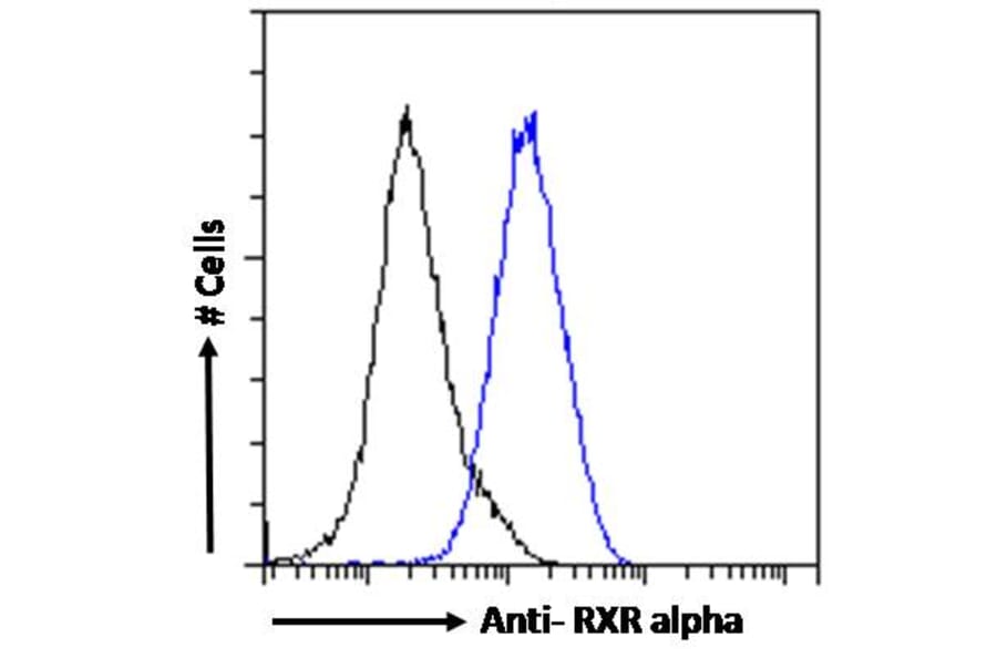 Flow Cytometry - Anti-RXRA Antibody (A83409) - Antibodies.com