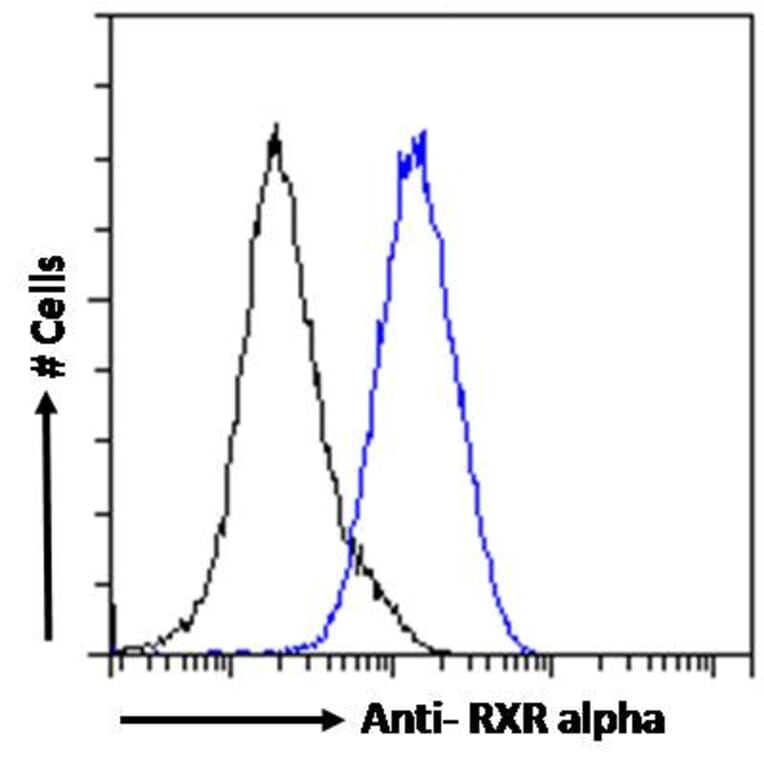 Flow Cytometry - Anti-RXRA Antibody (A83409) - Antibodies.com