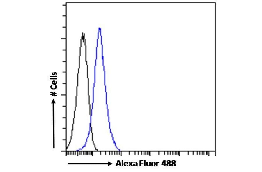 Flow Cytometry - Anti-STAT3 Antibody (A83415) - Antibodies.com