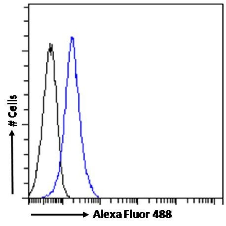 Flow Cytometry - Anti-STAT3 Antibody (A83415) - Antibodies.com
