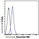 Flow Cytometry - Anti-STAT3 Antibody (A83415) - Antibodies.com