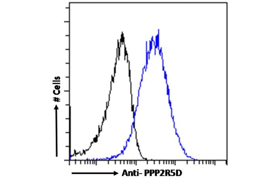 Flow Cytometry - Anti-PPP2R5D Antibody (A83418) - Antibodies.com