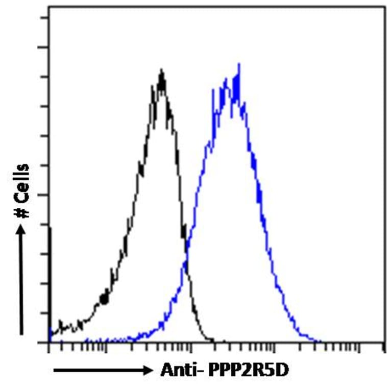 Flow Cytometry - Anti-PPP2R5D Antibody (A83418) - Antibodies.com