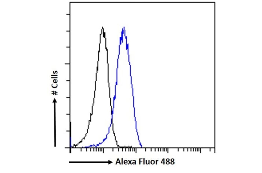 Flow Cytometry - Anti-Leptin Receptor Antibody (A83422) - Antibodies.com
