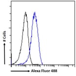 Flow Cytometry - Anti-Leptin Receptor Antibody (A83422) - Antibodies.com