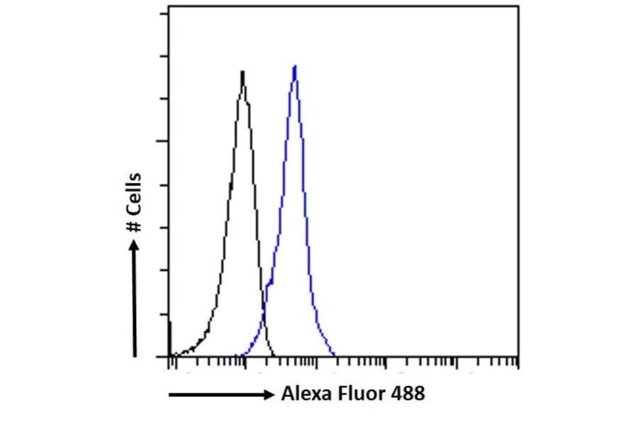 Flow Cytometry - Anti-IFNAR2 Antibody (A83428) - Antibodies.com