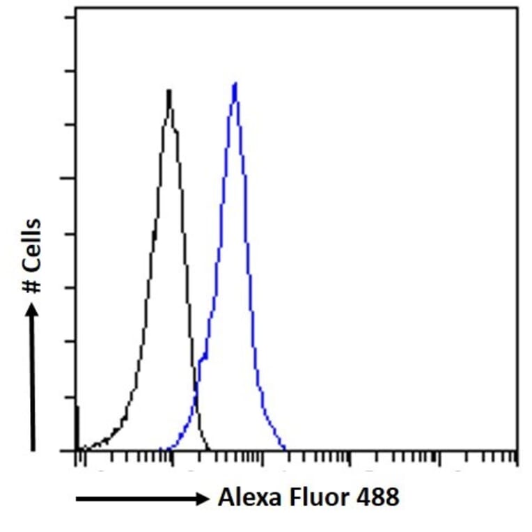 Flow Cytometry - Anti-IFNAR2 Antibody (A83428) - Antibodies.com