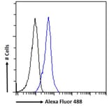Flow Cytometry - Anti-IFNAR2 Antibody (A83428) - Antibodies.com