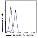 Flow Cytometry - Anti-UBE2C Antibody (A83441) - Antibodies.com