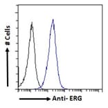 Flow Cytometry - Anti-ERG Antibody (A83450) - Antibodies.com