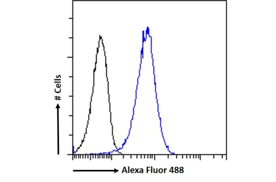 Flow Cytometry - Anti-DCTN1/p150-glued Antibody (A83458) - Antibodies.com