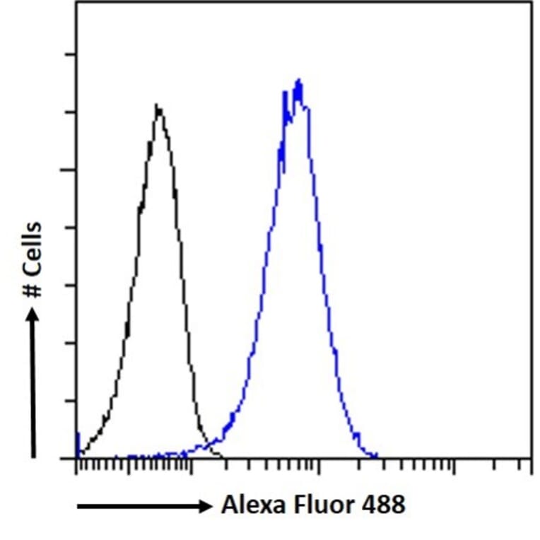 Flow Cytometry - Anti-DCTN1/p150-glued Antibody (A83458) - Antibodies.com