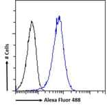 Flow Cytometry - Anti-DCTN1/p150-glued Antibody (A83458) - Antibodies.com