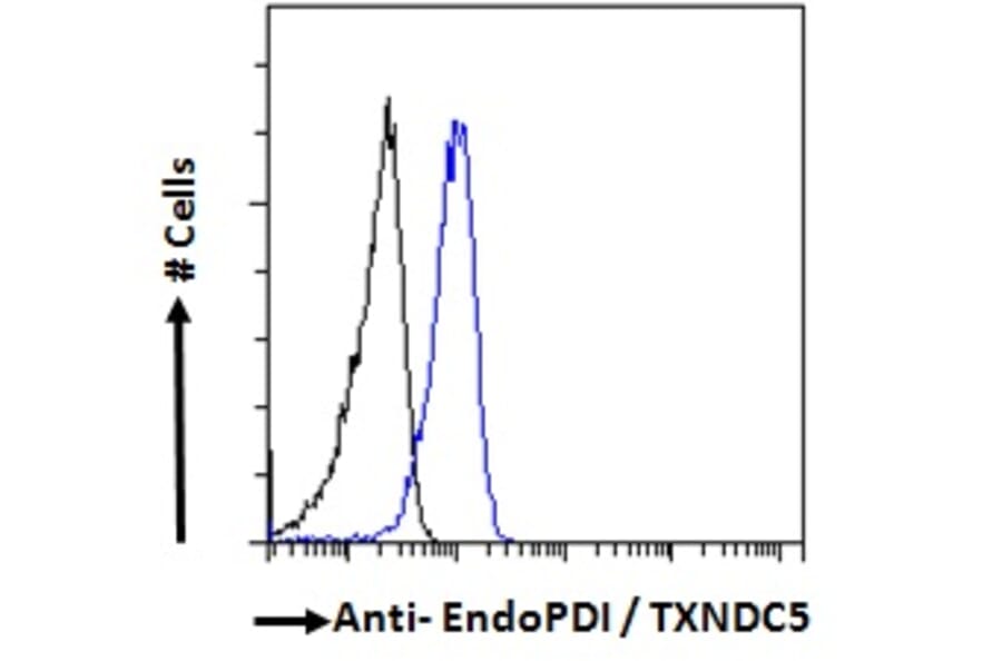 Flow Cytometry - Anti-TXNDC5 Antibody (A83490) - Antibodies.com