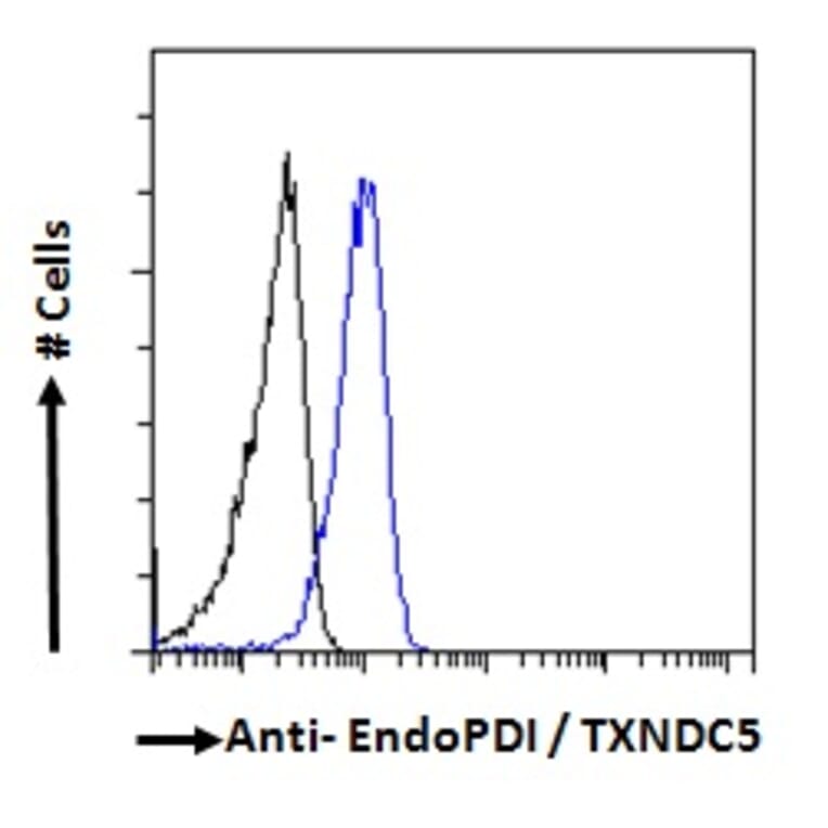 Flow Cytometry - Anti-TXNDC5 Antibody (A83490) - Antibodies.com