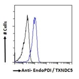 Flow Cytometry - Anti-TXNDC5 Antibody (A83490) - Antibodies.com
