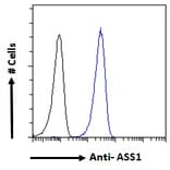 Flow Cytometry - Anti-ASS1 Antibody (A83511) - Antibodies.com