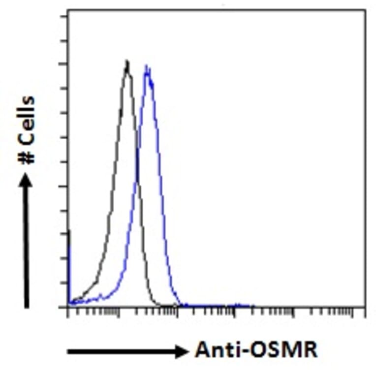 Flow Cytometry - Anti-OSMR Antibody (A83531) - Antibodies.com