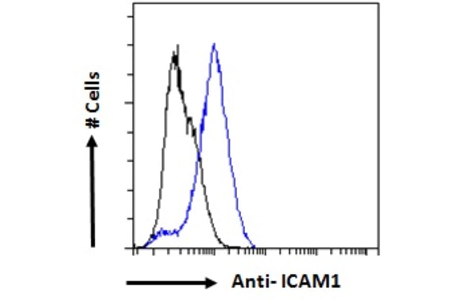 Flow Cytometry - Anti-ICAM1 Antibody (A83533) - Antibodies.com