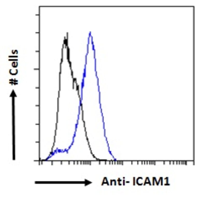 Flow Cytometry - Anti-ICAM1 Antibody (A83533) - Antibodies.com