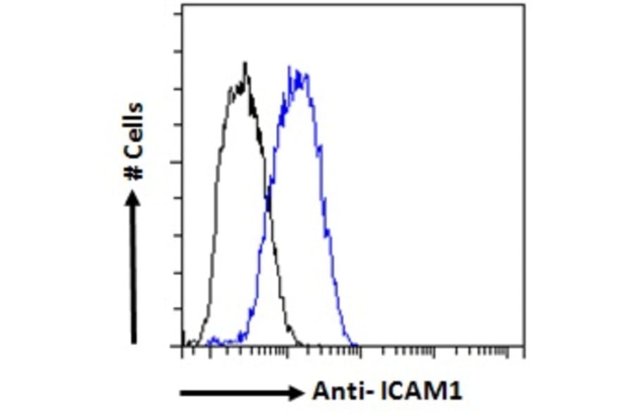 Flow Cytometry - Anti-ICAM1 Antibody (A83533) - Antibodies.com