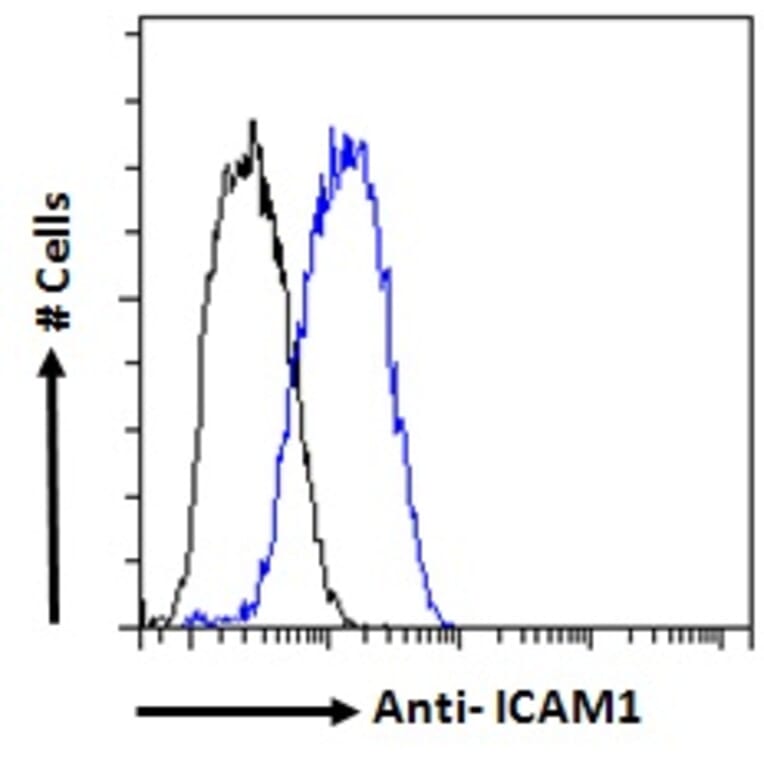 Flow Cytometry - Anti-ICAM1 Antibody (A83533) - Antibodies.com