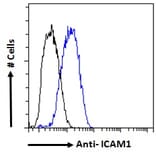 Flow Cytometry - Anti-ICAM1 Antibody (A83533) - Antibodies.com