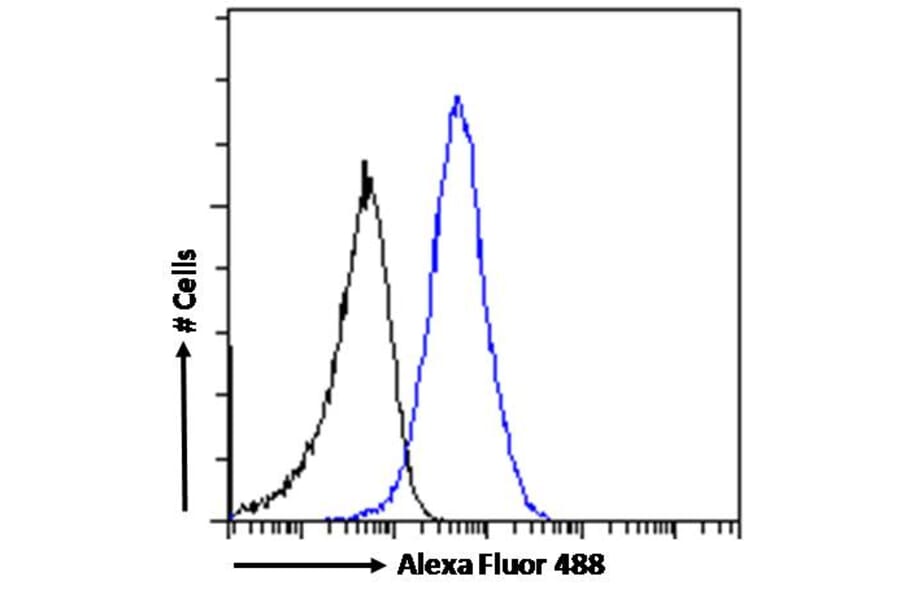 Flow Cytometry - Anti-58K Golgi Protein Antibody (A83551) - Antibodies.com