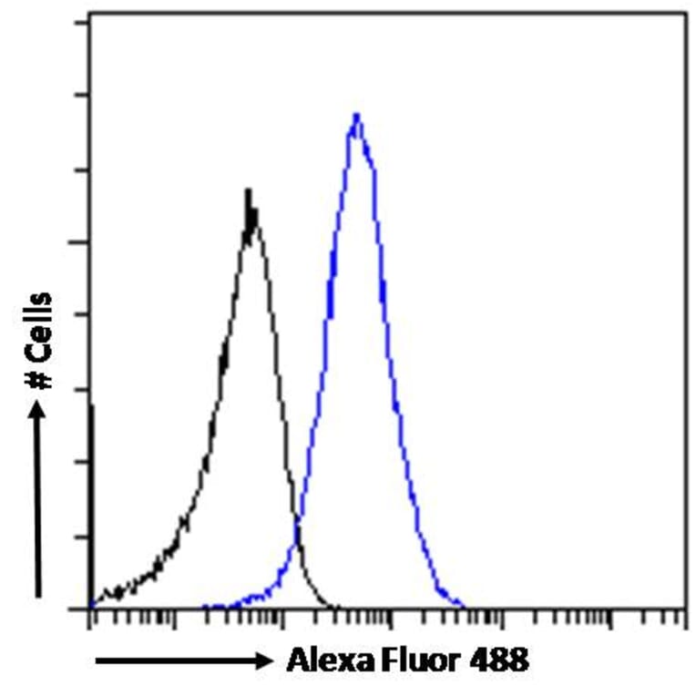 Flow Cytometry - Anti-58K Golgi Protein Antibody (A83551) - Antibodies.com