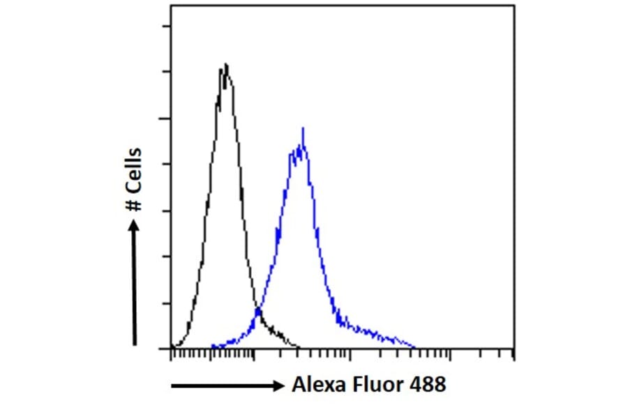 Flow Cytometry - Anti-NTAL Antibody (A83574) - Antibodies.com