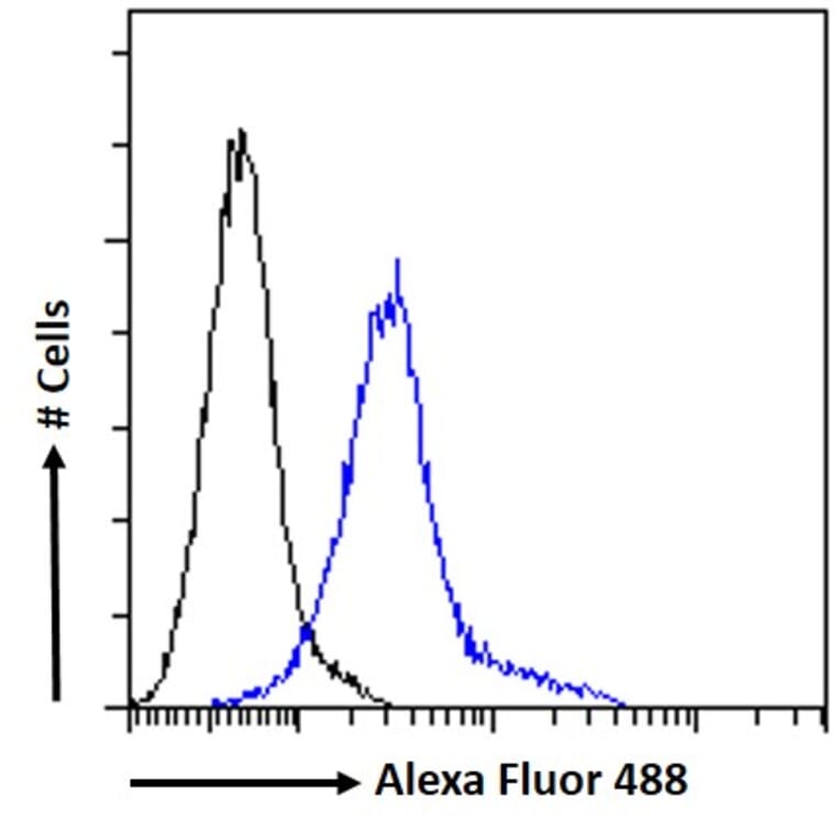 Flow Cytometry - Anti-NTAL Antibody (A83574) - Antibodies.com