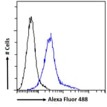 Flow Cytometry - Anti-NTAL Antibody (A83574) - Antibodies.com